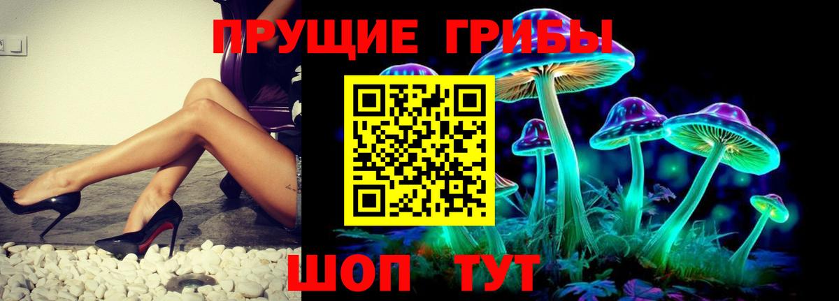 Псилоцибиновые грибы Magic Shrooms  Вход с VPN  Северск 