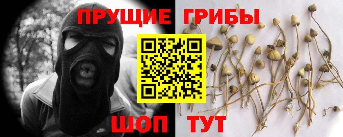 Псилоцибиновые грибы ЛСД Северск